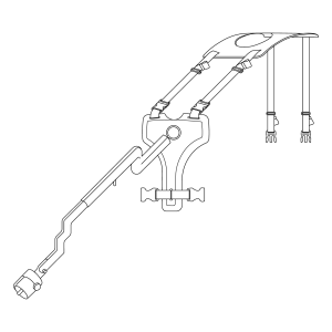 Radius
